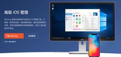 iMazing 2.17.6官方版下載、安裝指南及常見問題全解析